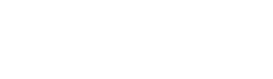 Fischer gruppen logo.
